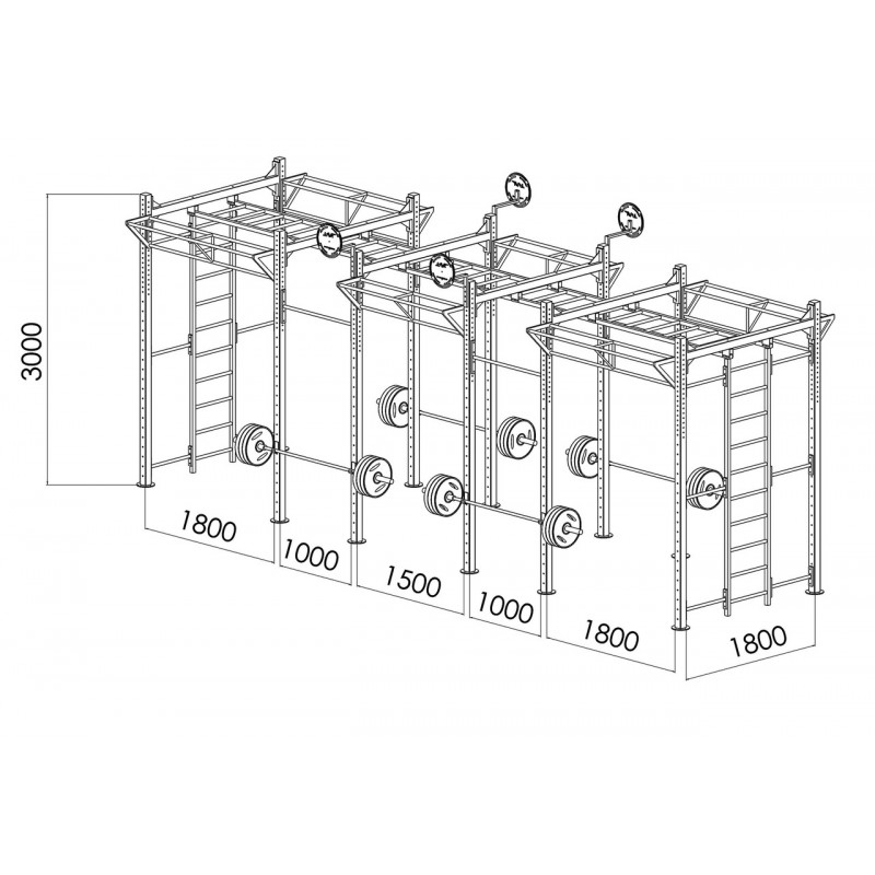 Кросфіт станція V`Noks EXO 12-4