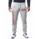 Спортивні штани Leone Legionarivs Fleece Grey M