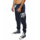 Спортивні штани Leone Fleece Blue M