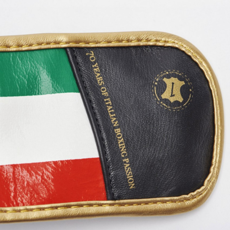 Боксерские перчатки Leone Italy Black 14 ун.