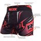 Шорты MMA RDX R8 Red XL