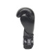 Боксерские перчатки Leone Ambassador Black 10 ун.