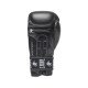 Боксерские перчатки Leone Ambassador Black 10 ун.