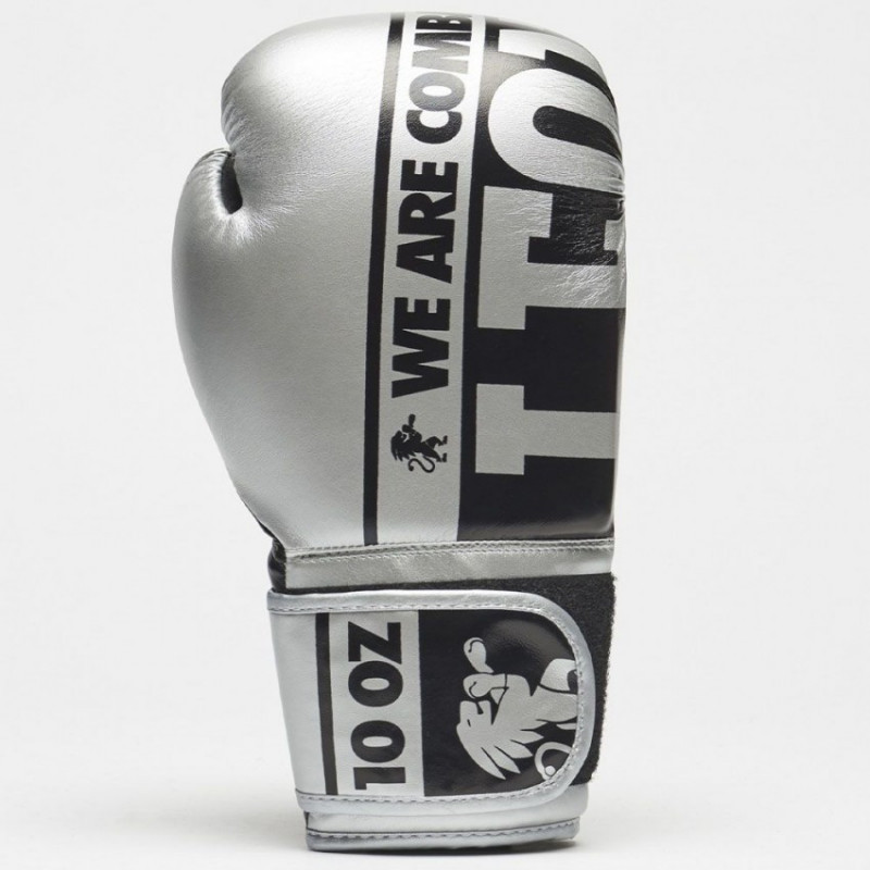 Боксерские перчатки Leone Nexplosion Silver 14 ун.
