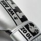 Боксерські рукавички Leone Nexplosion Silver 14 ун.