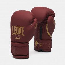 Боксерские перчатки Leone Mono Bord 14 ун.