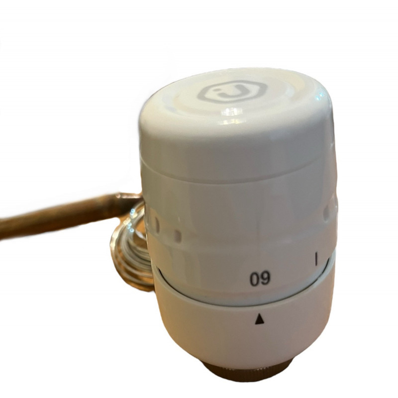 Термостатичний триходовий змішувальний клапан (DN 25) + Термоголовка (20-60°С), "Europroduct" Чехія