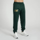 Спортивний костюм Leone Premium Green S